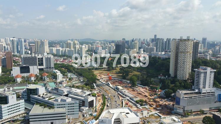 Blk 1A The Pinnacle@Duxton (Bukit Merah), HDB 5 Rooms #75392242